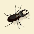 Beetle deer Lucanus cervus vector graphic Royalty Free Stock Photo